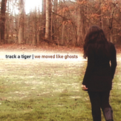 I Speak To You With A Single Heart by Track A Tiger