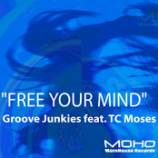 Groove Junkies feat. TC Moses - "Free Your Mind"
