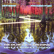 Okefenokee 2000