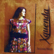 Como De Treinta by Susana Harp