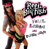 The Long Run by Reel Big Fish