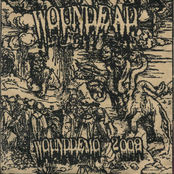 Wounddemo