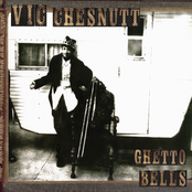 Gnats by Vic Chesnutt