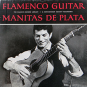 ole! guitarra flamenco