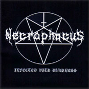 necrophacus