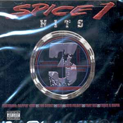 Wet Party by Spice 1