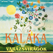 Árnyékos Vadvizek by Kaláka