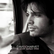 I Wanna Rock by David Charvet