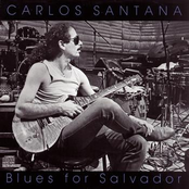 blues for salvador