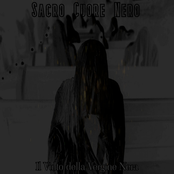 Il Vulto della Vergine Nera