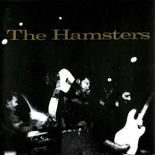 The Hamsters