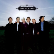 Hope by The Hollies