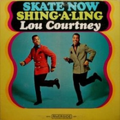 Skate Now by Lou Courtney