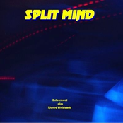 Split Mind