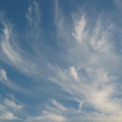 Introducing the <META FORCE>