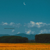 Prato Di Girasoli