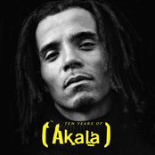 Akala: 10 Years of Akala