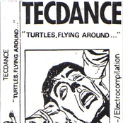 Turtles , Flying Around... - A Techno -/ Electrocompilation