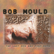 Who Was Around? by Bob Mould