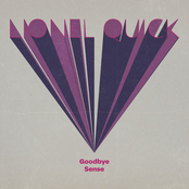 Goodbye Sense