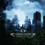 Soul Journeys by Omnium Gatherum