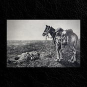 Till It Starts to Rot