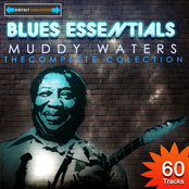 All Night Long by Muddy Waters
