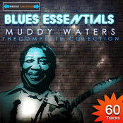 Loving Man by Muddy Waters