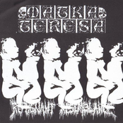 unholy grave / matka teresa