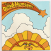 the wonderful world of mishap