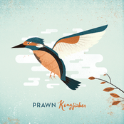 Prolonged Exposure by Prawn