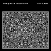 Three Turtles
