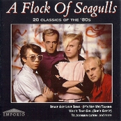 Rosenmontag by A Flock Of Seagulls