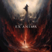Ex Anima