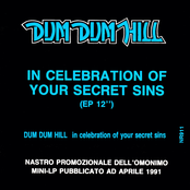 In Celebration Of Your Secret Sins