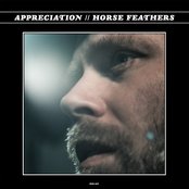 Horse Feathers - Appreciation Artwork