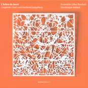 Gregorian Chant And Medieval Polyphony (L'Arbre De Jesse)