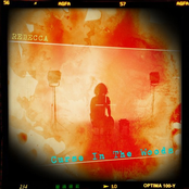 Rebecca's Photograph - Single