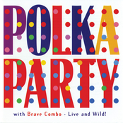 High Bounce Polka by Brave Combo