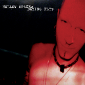 hollow spacez eating flyz