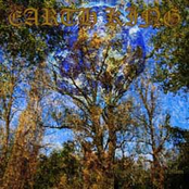 Cycling Between Sun And Moon