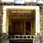 Dust, Rocks and Flakes