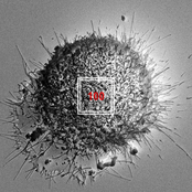 100 (feat. 천재노창) - Single