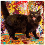 Can't You See What I Mean?