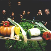 The Vegetable Orchestra