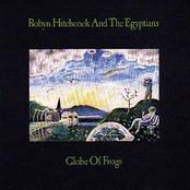 Sleeping With Your Devil Mask by Robyn Hitchcock And The Egyptians