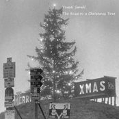 The Road to a Christmas Tree