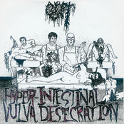 Hyper-Intestinal Vulva Desecration