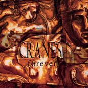 Cranes: Forever (Expanded Edition)