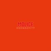 The Molice: Neugravity